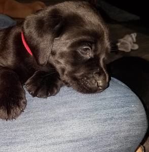 Meet your Posher, Colleen